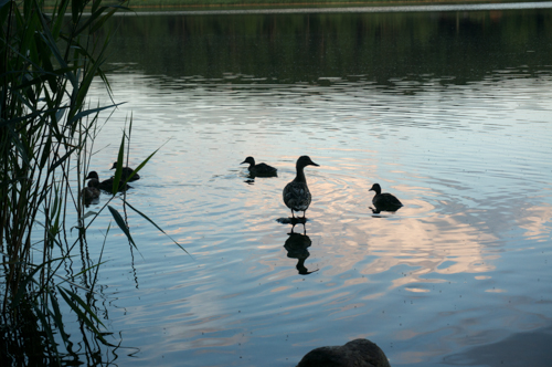 20160704 Neukloster-13