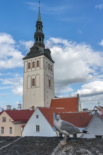 20160809 Tallinn -29