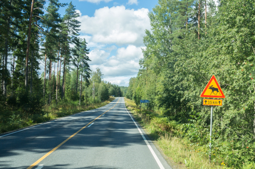 20160814 1 am Päijänne-19