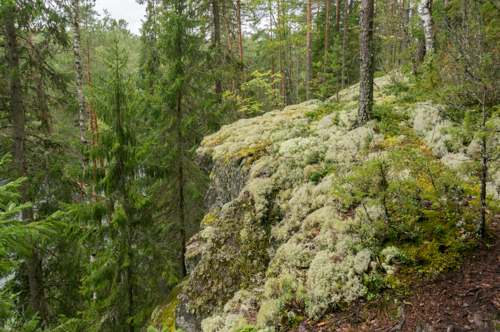 20160816 2 Toriseva-Schlucht-3