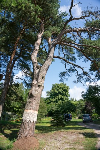 20160730 Nähe Liepaja-18