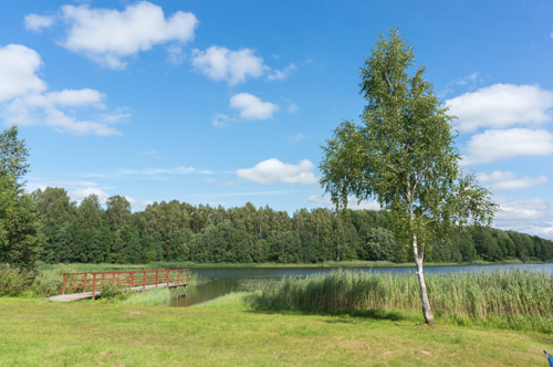 20160728  3 Juodupenai-6