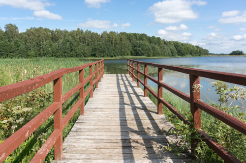 20160728  3 Juodupenai-9