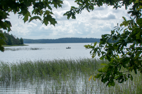 20160729 1 Plateliai -3