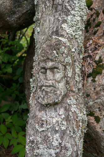 20160729 3 Salantai Garten Orvydas-35