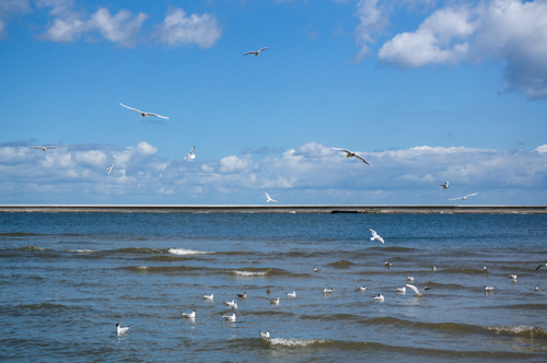 20160707 Swinemünde-1