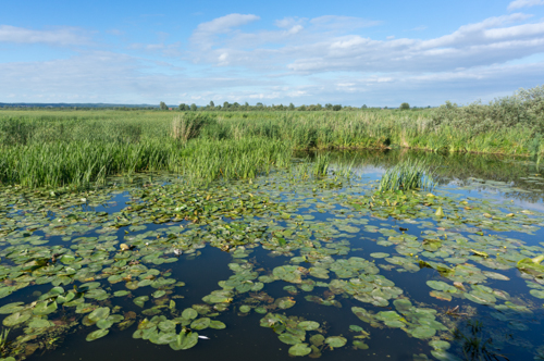 20160715 Oberlandkanal-25