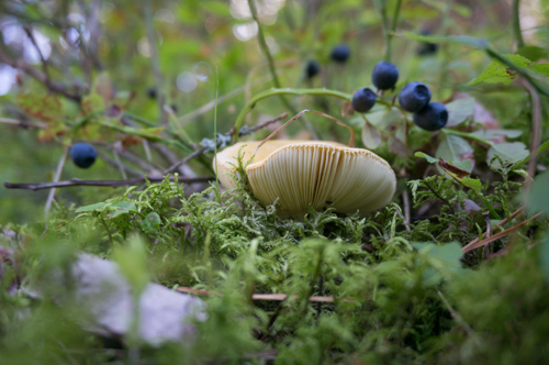 20160720 Masuren Krutyn-28