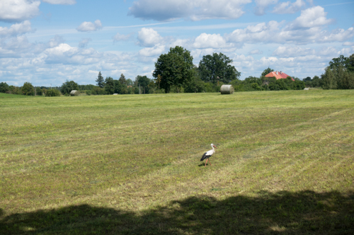 20160720 Masuren Krutyn-4