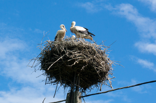 20160721 Masuren Krutynia-23